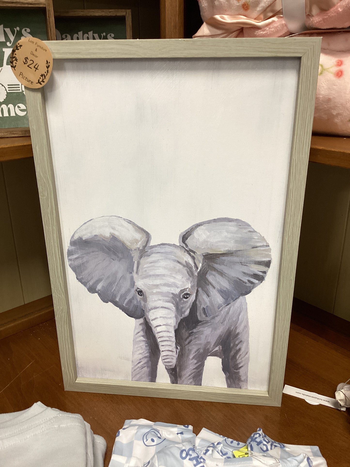 Elephant picture