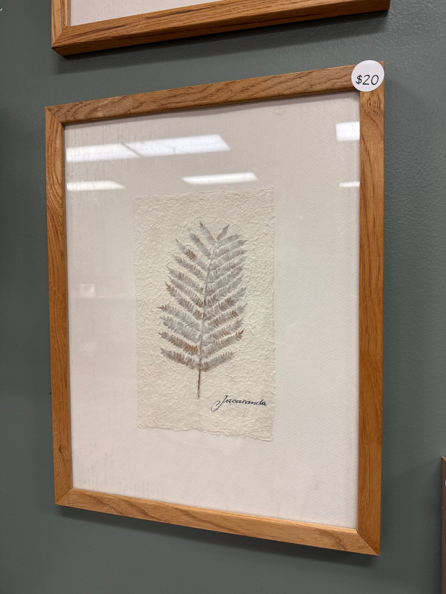 Vintage pressed leaf picture