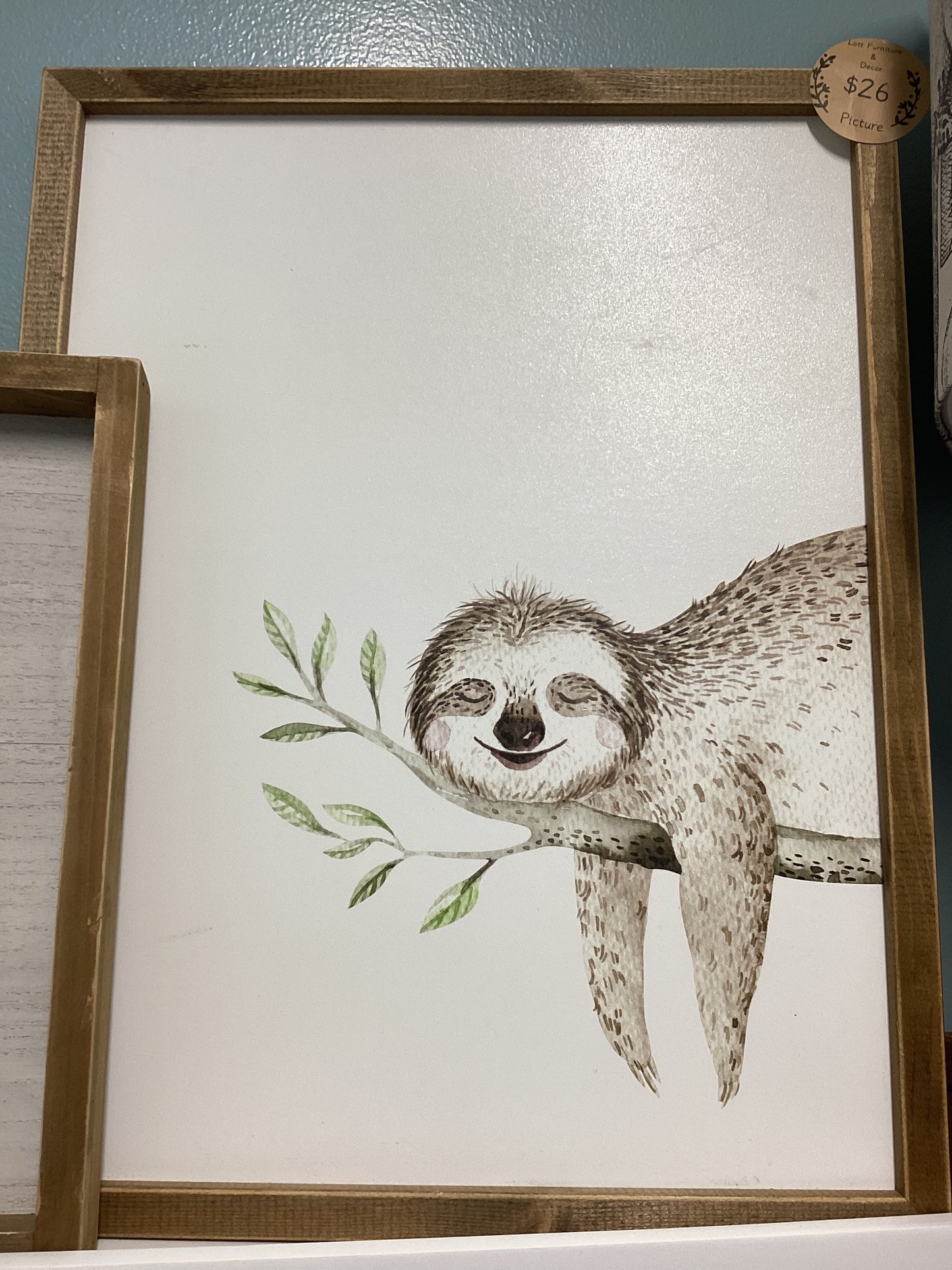 Sloth picture