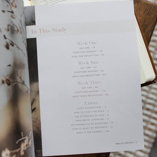 Restored Bible Study