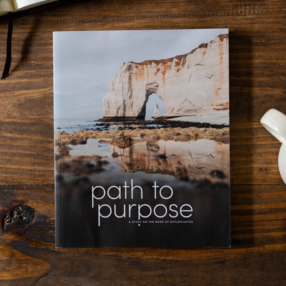 Path to Purpose Men's Bible Study