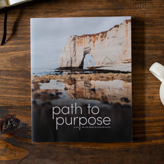 Path to Purpose Men's Bible Study
