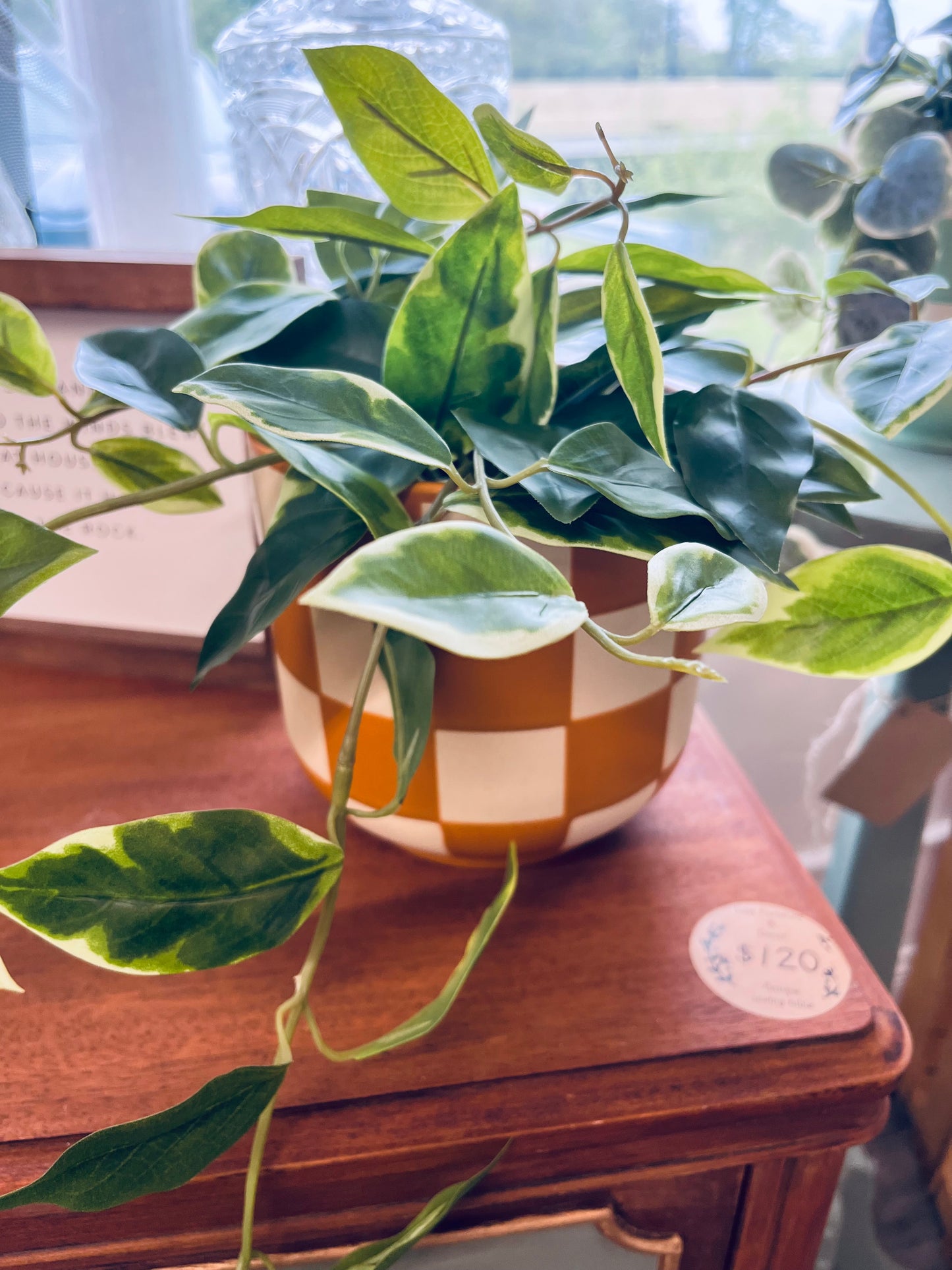 Burnt orange checkered plant