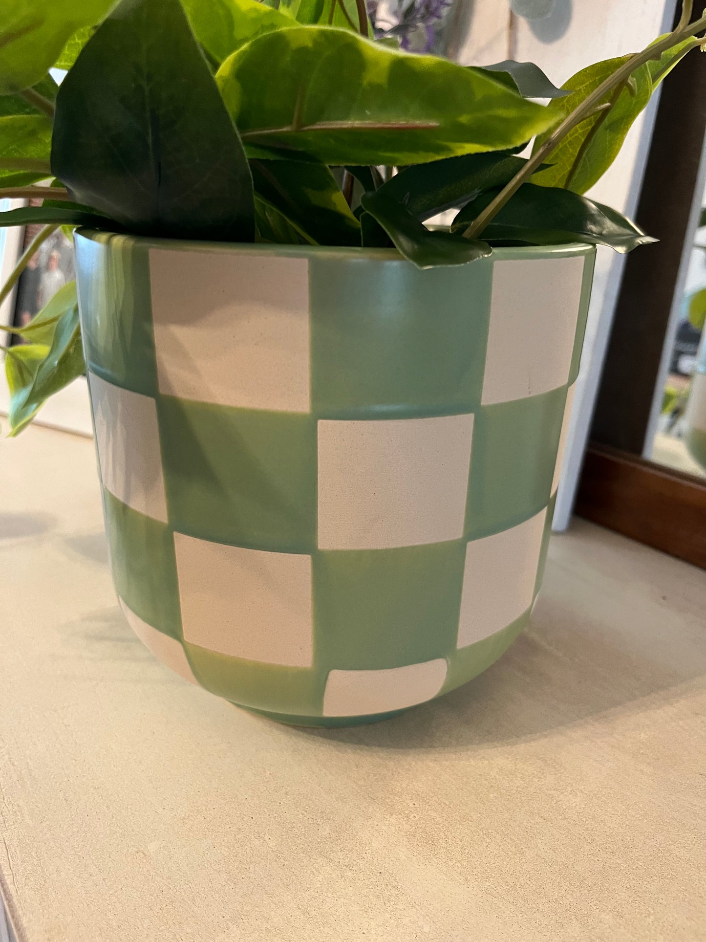Blue checkered plant