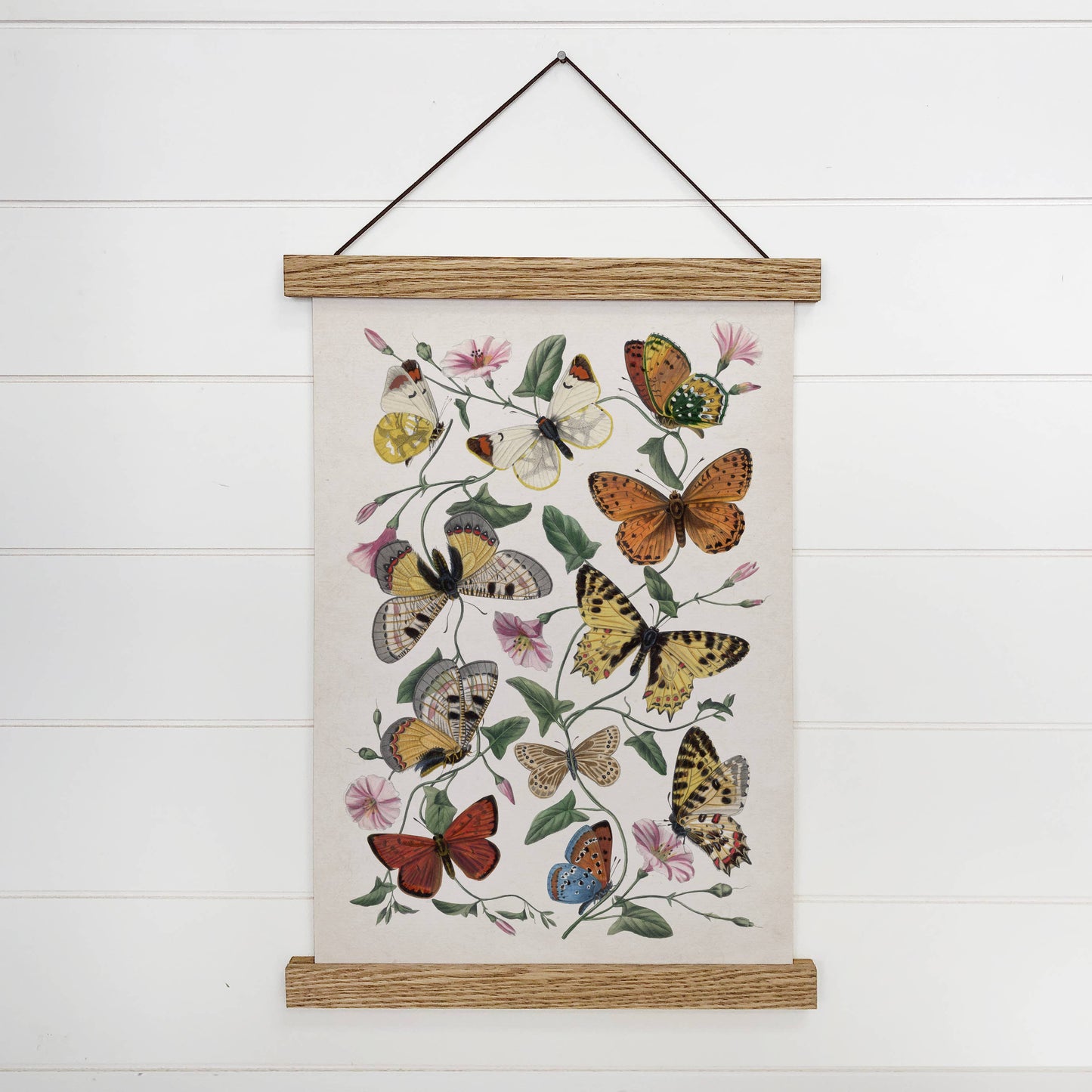 Botanical Butterflies Framed Art Print