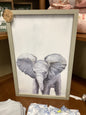 Elephant picture