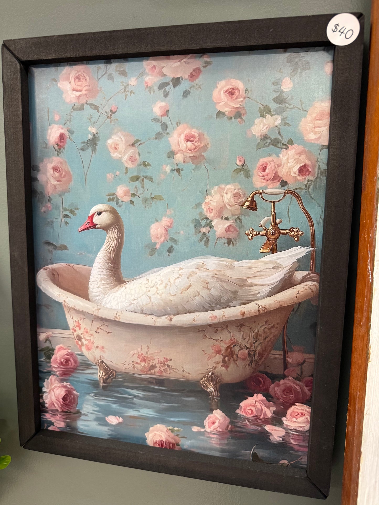 Goose bathtub frame