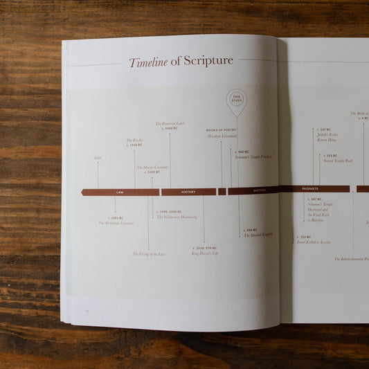 Path to Purpose Men's Bible Study
