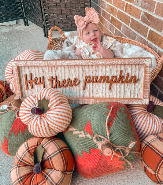 Hey there pumpkin sign