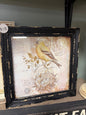 Bird frame