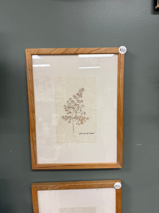 Vintage pressed floral picture
