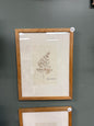 Vintage pressed floral picture