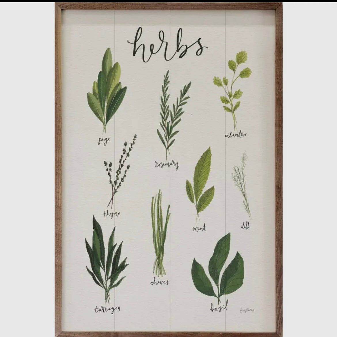 Herbs (white)