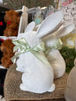 White bunny