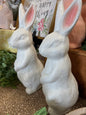 Sparkle white bunny
