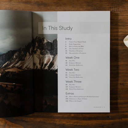 Path to Purpose Men's Bible Study